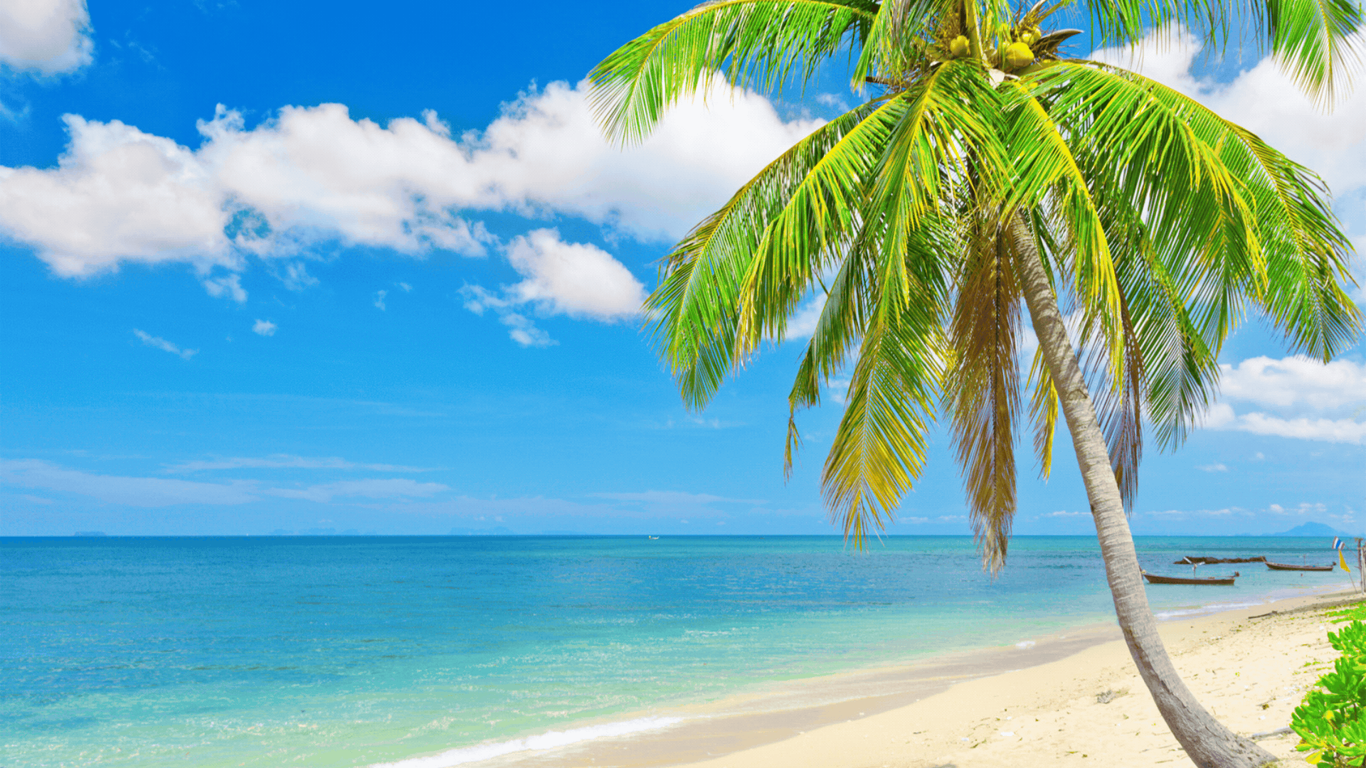 Moving Abroad: A Complete Personal Safety Guide for Expats